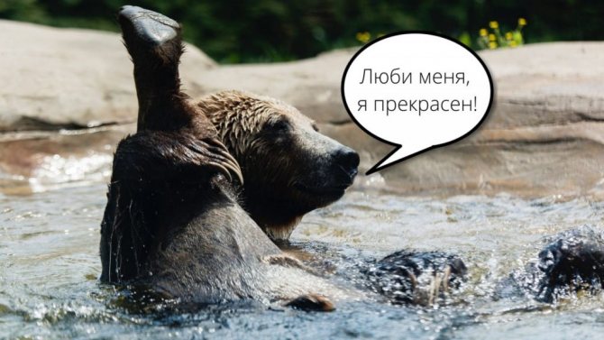 Как делать потрясающий минет? 6 Лучших техник минета, которые принесут удовольствие вам обоим Возможности Саморазвитие Секс Советы на каждый день