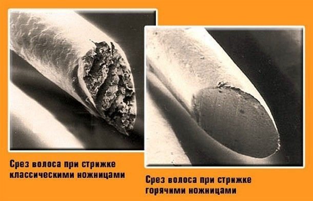 срез волоса